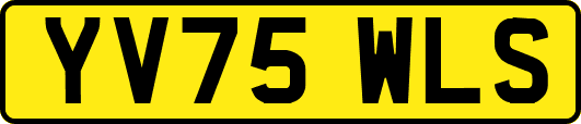 YV75WLS