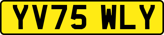 YV75WLY
