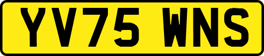 YV75WNS