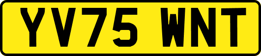YV75WNT