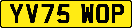YV75WOP