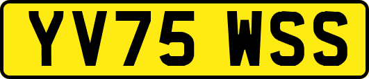 YV75WSS