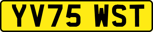 YV75WST