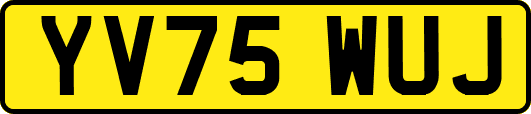 YV75WUJ