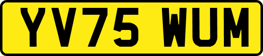 YV75WUM