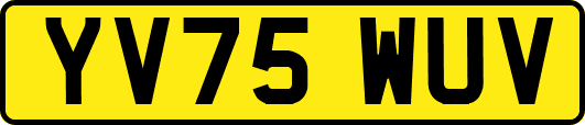 YV75WUV