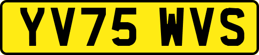 YV75WVS