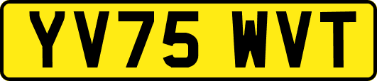 YV75WVT