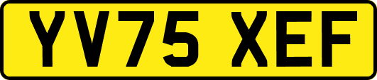 YV75XEF