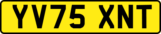 YV75XNT