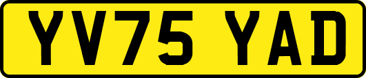 YV75YAD