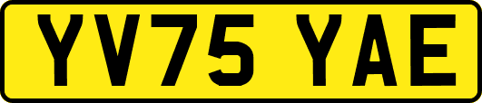 YV75YAE