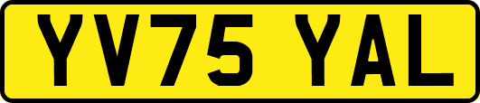 YV75YAL