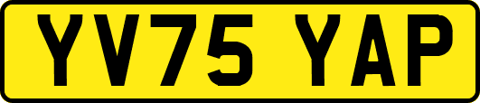 YV75YAP