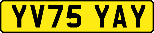 YV75YAY