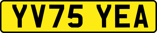 YV75YEA