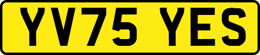 YV75YES