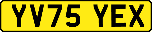 YV75YEX