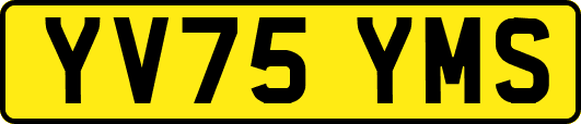 YV75YMS