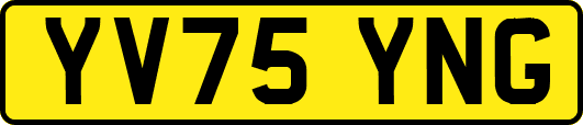 YV75YNG