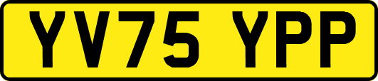 YV75YPP