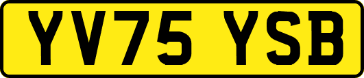 YV75YSB
