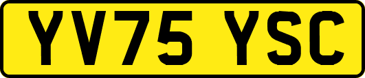YV75YSC