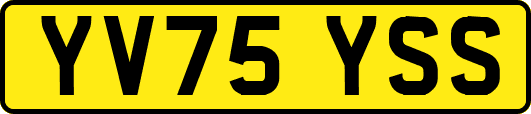 YV75YSS