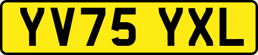 YV75YXL