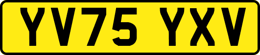 YV75YXV