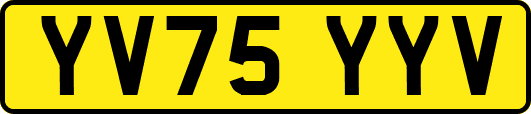 YV75YYV