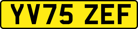 YV75ZEF