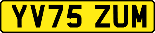 YV75ZUM