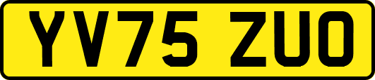 YV75ZUO