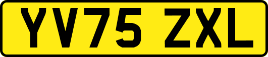 YV75ZXL