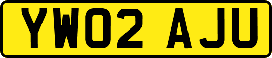 YW02AJU