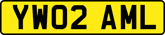 YW02AML