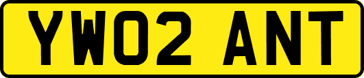 YW02ANT