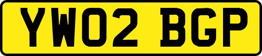 YW02BGP