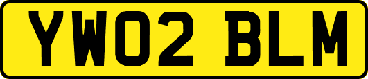 YW02BLM