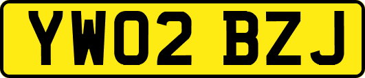 YW02BZJ
