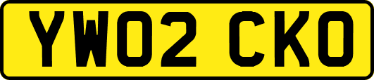 YW02CKO