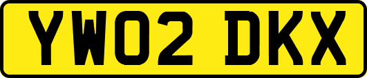 YW02DKX