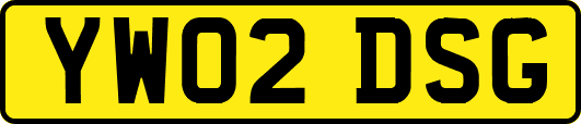 YW02DSG