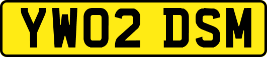 YW02DSM