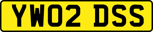 YW02DSS
