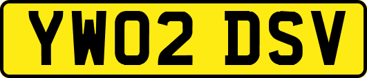 YW02DSV