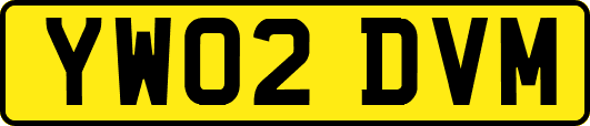 YW02DVM
