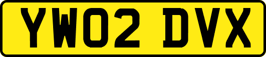 YW02DVX
