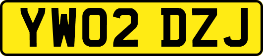 YW02DZJ